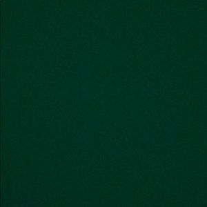 Meet your Posher, Ava